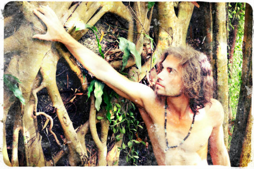 LOVE is the word (in the jungle)